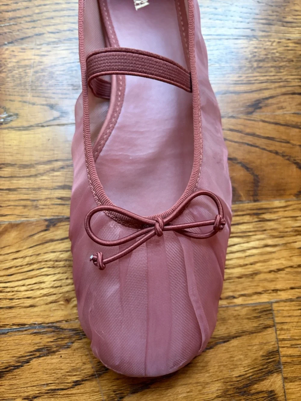 Zara Sheer Mesh Ballet Flats with Bow